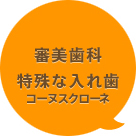 審美歯科 特殊な入れ歯コーヌスクローネ